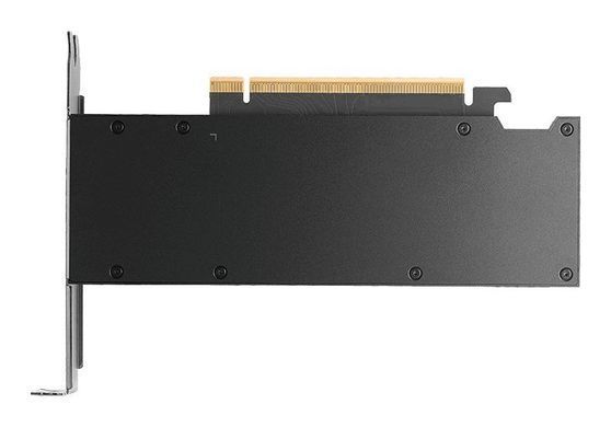 PNY Nvidia Quadro RTX Pro 2000 Blackwell 16GB (VCNRTXPRO2000-PB) &mdash; Видеокарта 16 ГБ GDDR7 128-bit 1-77824 фото