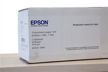Epson C13S045287 51103 фото