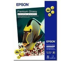 Epson C13S041875 51021 фото