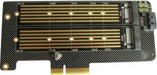 Dynamode PCI-Ex4- 2xM.2 M&B-key &mdash; Плата расширения 2х M.2 Combo: NVMe M-Key to PCI-E 3.0 x4 / NGFF SSD B-key to SATA 1-48020 фото