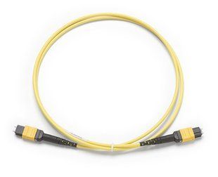 Патч корд SM TRC, MPO-APC/MPO-APC, Pinned/Pinned, Type A, 1 м Fluke Networks FL-TRC-SM-MPOAPC-PP-A 695641 фото