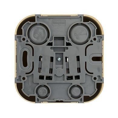 Legrand 782271 &mdash; Розетка Quteo 2К+З немецкий стандарт, 1 п, винтовые клеммы, IP20, дерево, сосна 1-26733 фото
