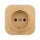 Legrand 782271 &mdash; Розетка Quteo 2К+З немецкий стандарт, 1 п, винтовые клеммы, IP20, дерево, сосна 1-26733 фото 3
