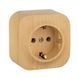 Legrand 782271 &mdash; Розетка Quteo 2К+З немецкий стандарт, 1 п, винтовые клеммы, IP20, дерево, сосна 1-26733 фото 2